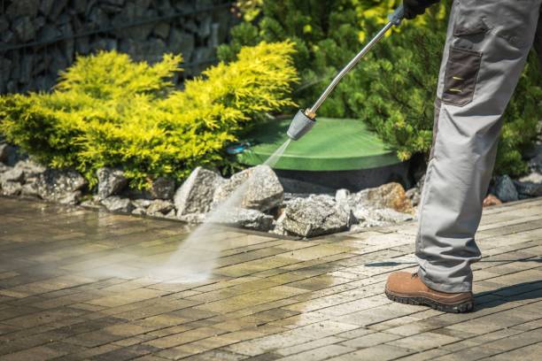 Best Gutter Cleaning  in Palm Beach, FL